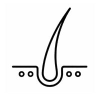 Hair Analysis
